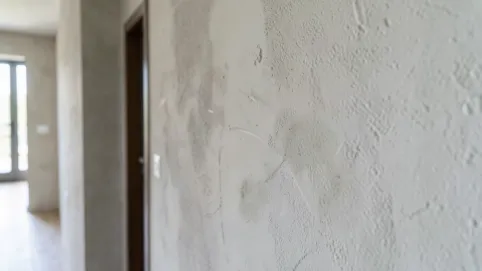 Jaki tynk strukturalny do przedpokoju